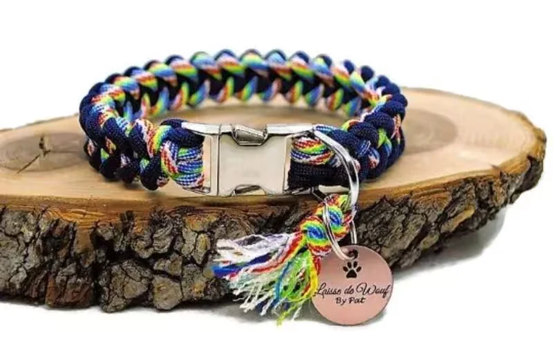 Collier pour chien SHARK Bleu marine / Arc-enciel - Largeur 2cm