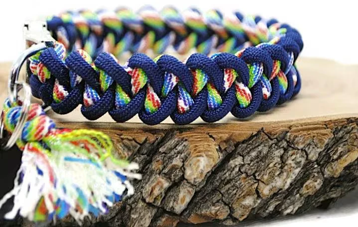 Collier pour chien SHARK Bleu marine / Arc-enciel - Largeur 2cm