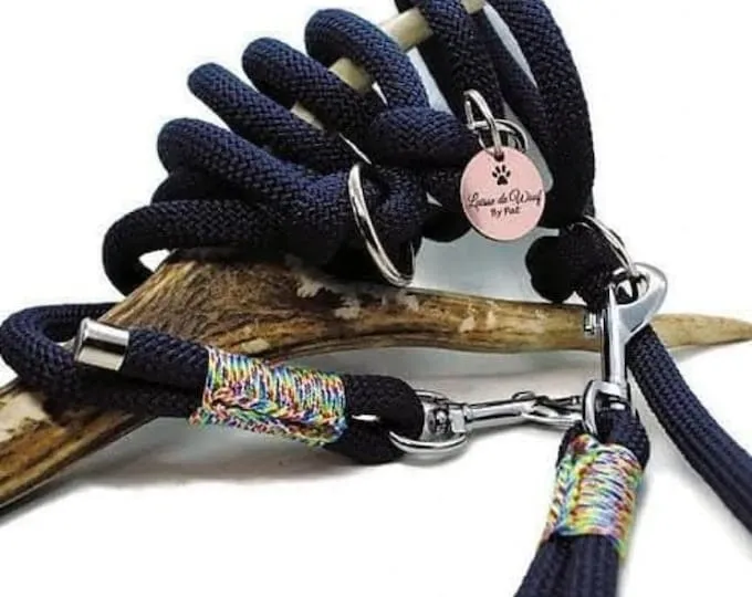 Collier pour chien SHARK Bleu marine / Arc-enciel - Largeur 2cm