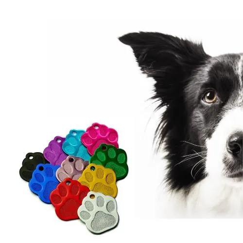 Médaille d'idendification chien | 8 couleurs Motif patte