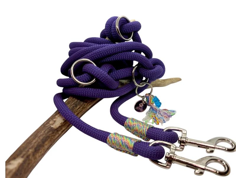 Laisse 3 points RAINBOW PAW paracorde 10mm
