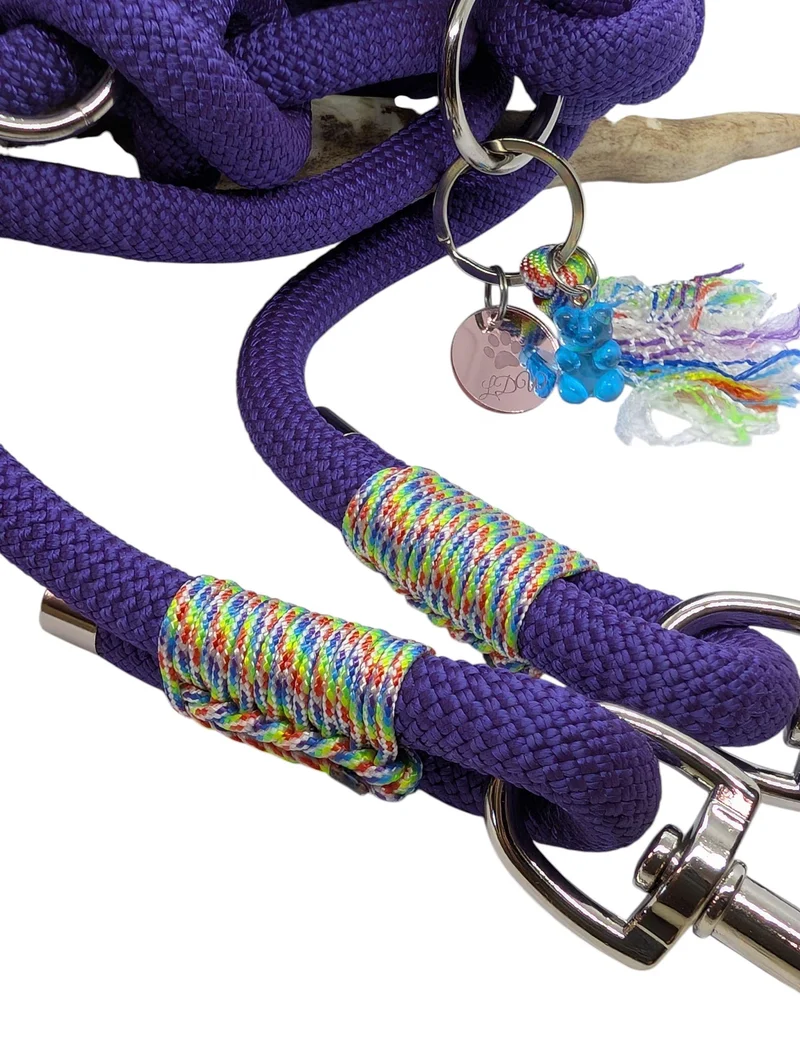 Laisse 3 points RAINBOW PAW paracorde 10mm