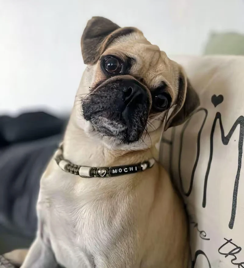 Collier réglable anti-tiques pour chien en céramique EM - COEUR 1cm
