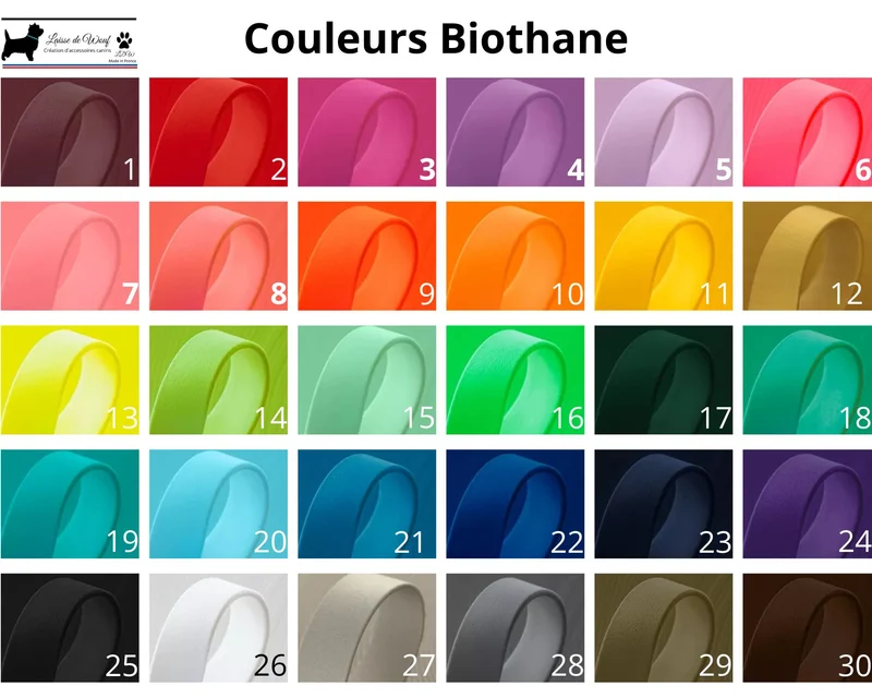 Collier Biothane KISS 16mm