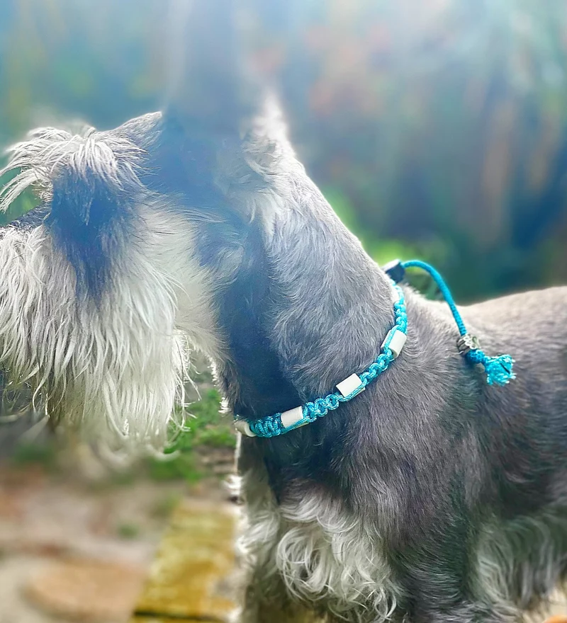 Collier réglable anti-tiques pour chien en céramique EM - DIAMOND 1cm