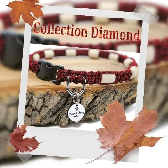Collier anti-tiques pour chien en céramique EM - DIAMOND 1cm