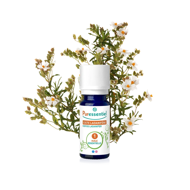 Huile Essentielle Ciste Ladanifère BIO