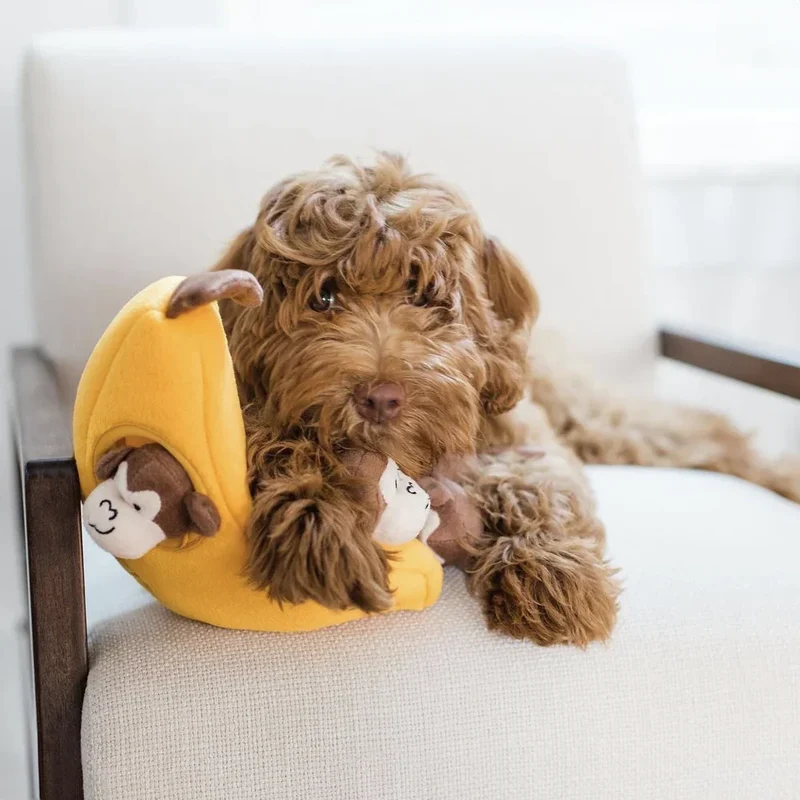 Peluche de flair Bananes et Singe 🍌🐒 - Jouet d'occupation pour chien – ZippyPaws® Burrow™