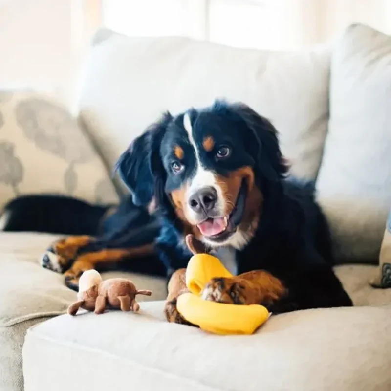 Peluche de flair Bananes et Singe 🍌🐒 - Jouet d'occupation pour chien – ZippyPaws® Burrow™