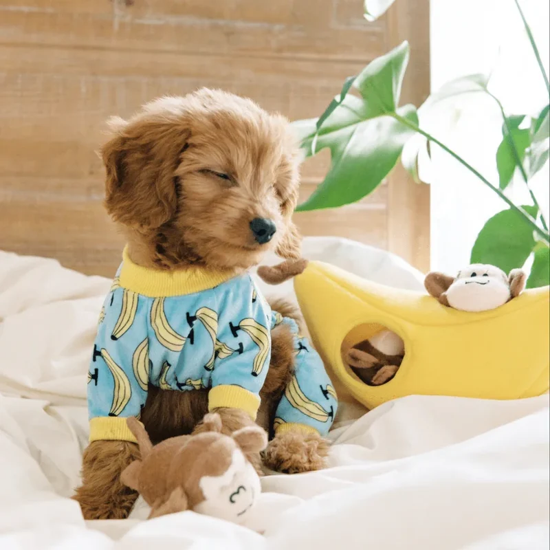 Peluche de flair Bananes et Singe 🍌🐒 - Jouet d'occupation pour chien – ZippyPaws® Burrow™