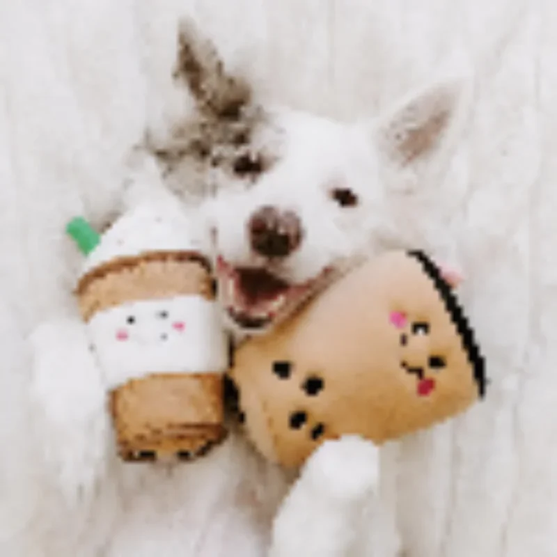Peluche de flair Bubble Tea 🧋 - Jouet d'occupation pour chien – ZippyPaws® Burrow™