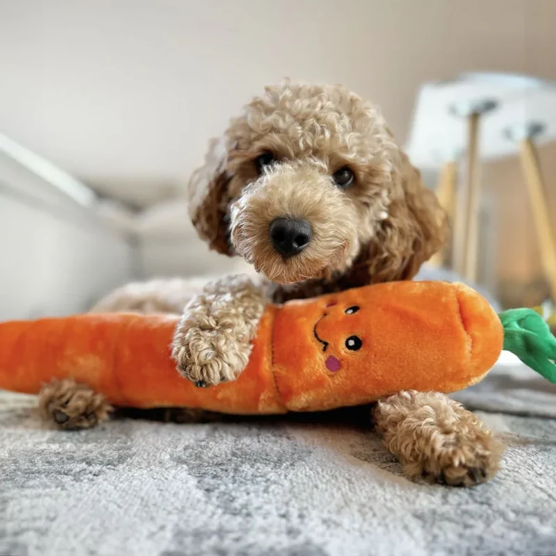 Peluche Carotte – Peluche XXL pour chien – Jigglerz® Carrot 🥕