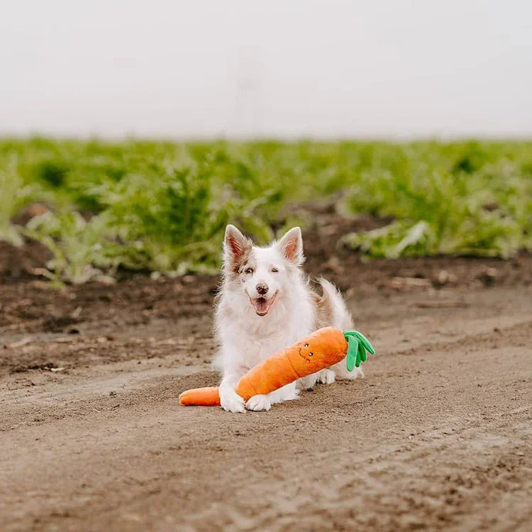 Peluche Carotte – Peluche XXL pour chien – Jigglerz® Carrot 🥕