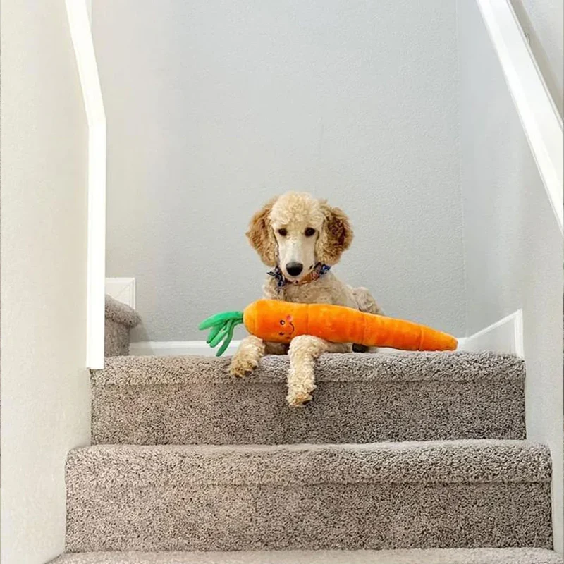 Peluche Carotte – Peluche XXL pour chien – Jigglerz® Carrot 🥕