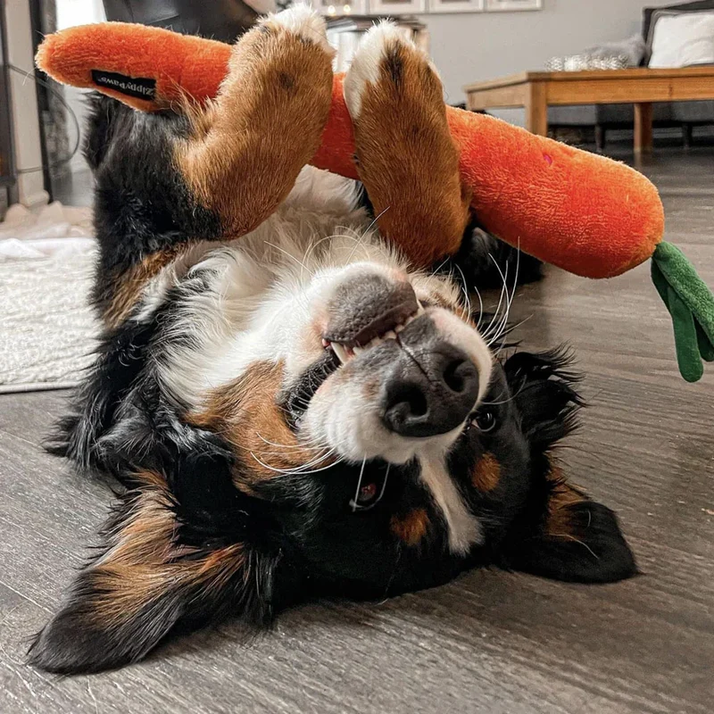 Peluche Carotte – Peluche XXL pour chien – Jigglerz® Carrot 🥕