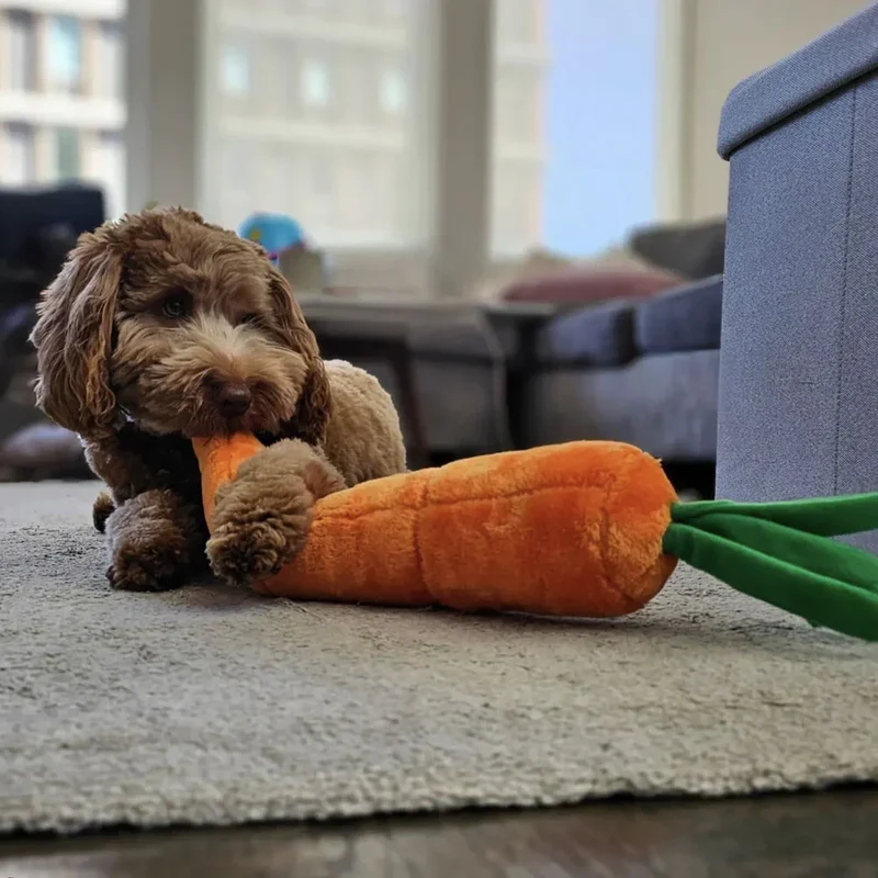 Peluche Carotte – Peluche XXL pour chien – Jigglerz® Carrot 🥕