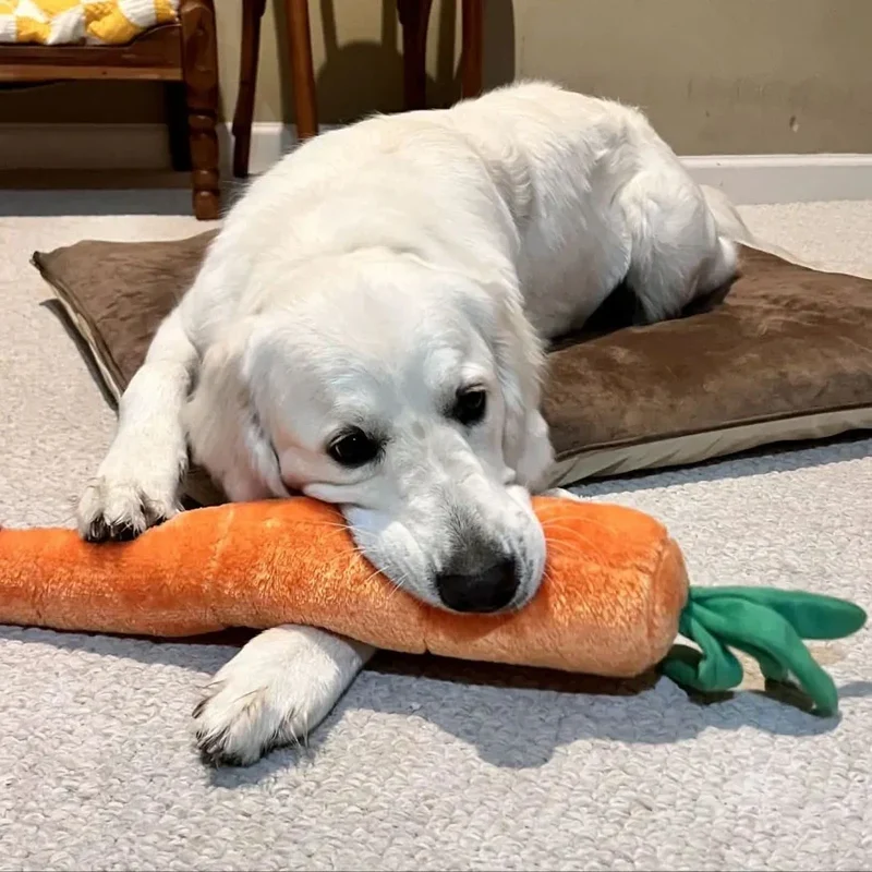 Peluche Carotte – Peluche XXL pour chien – Jigglerz® Carrot 🥕