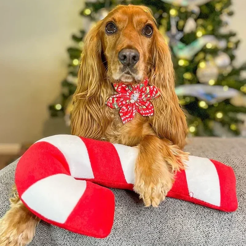 Peluche Canne à Sucre de Noël – Peluche XXL pour chien – Jigglerz® Candy Cane