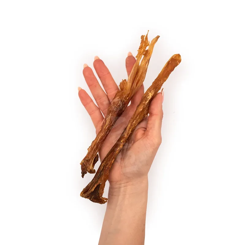 Tendon d'Achille de buffle – Mastication gourmande pour chien
