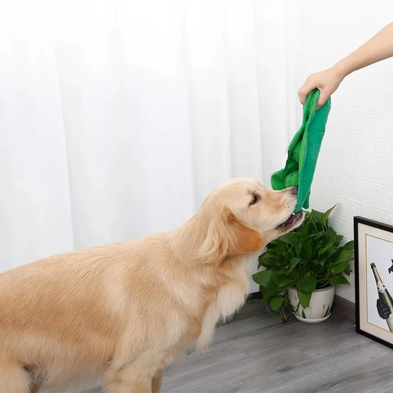 Haricot de fouille pour chien