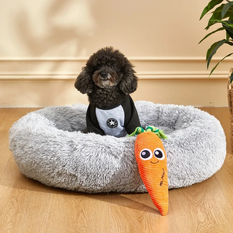 Carotte pour chien