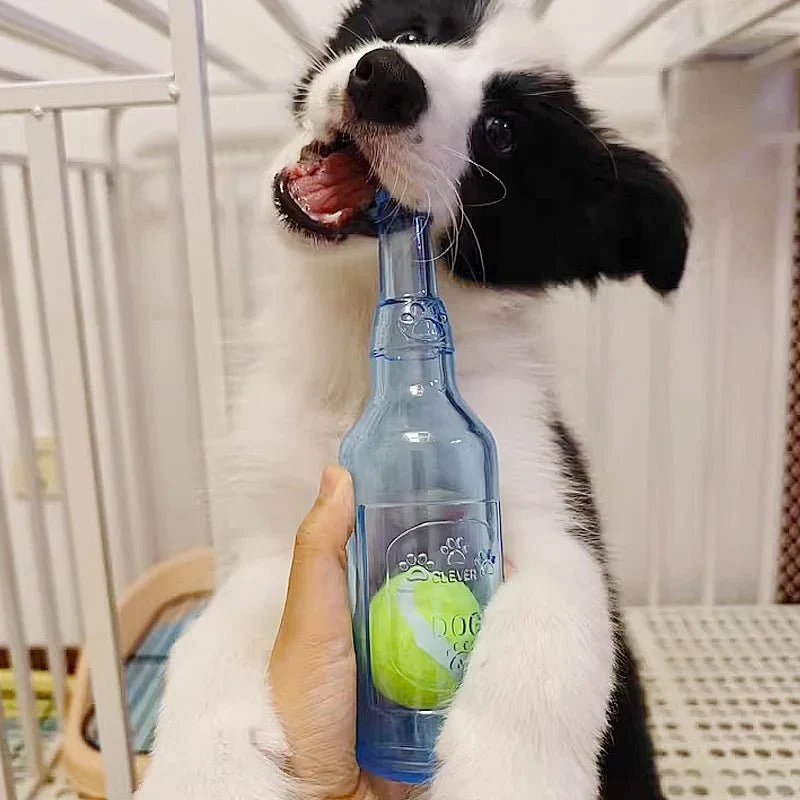 Bouteille avec balle pour chien