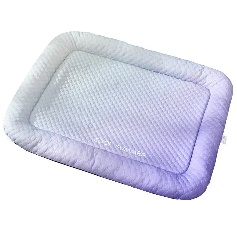 Tapis chien rafraîchissant coloré