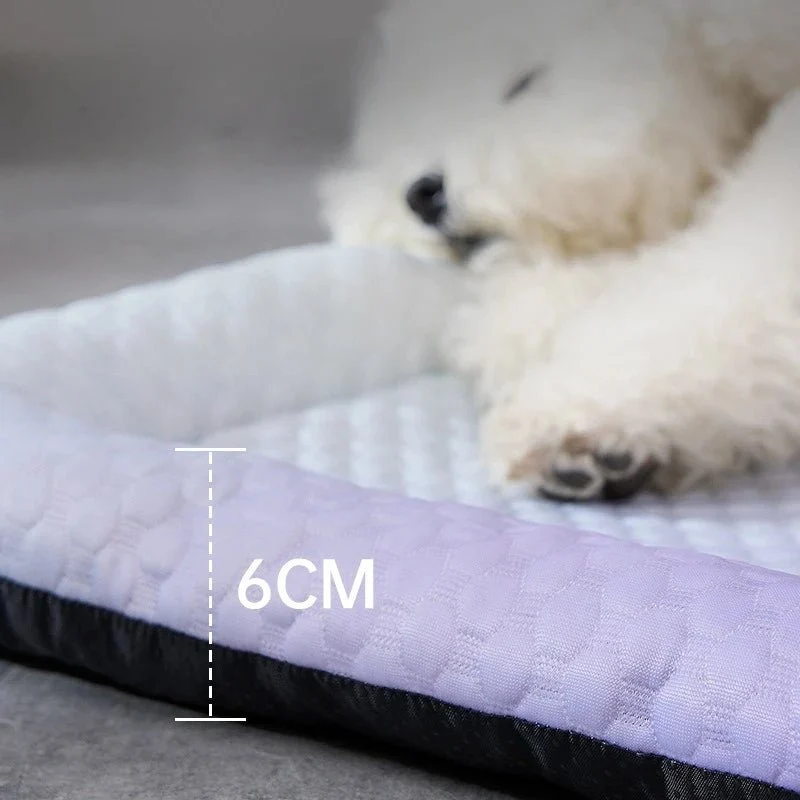Tapis chien rafraîchissant coloré