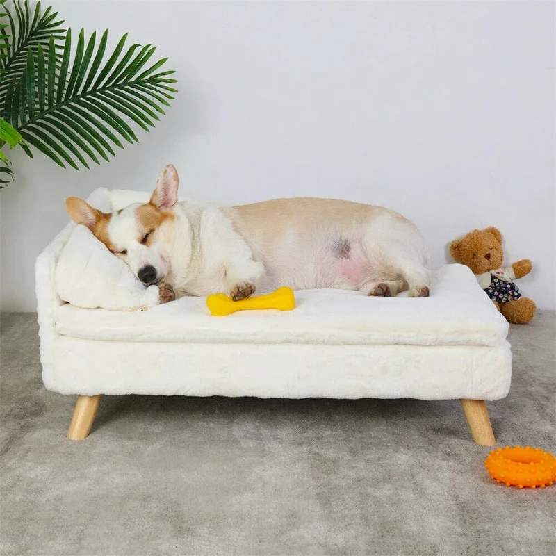 Canapé de luxe pour petit chien