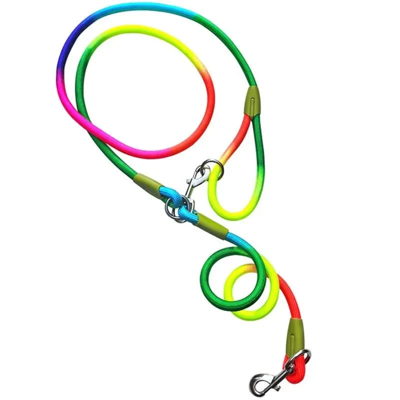 Laisse lasso chien ajustable
