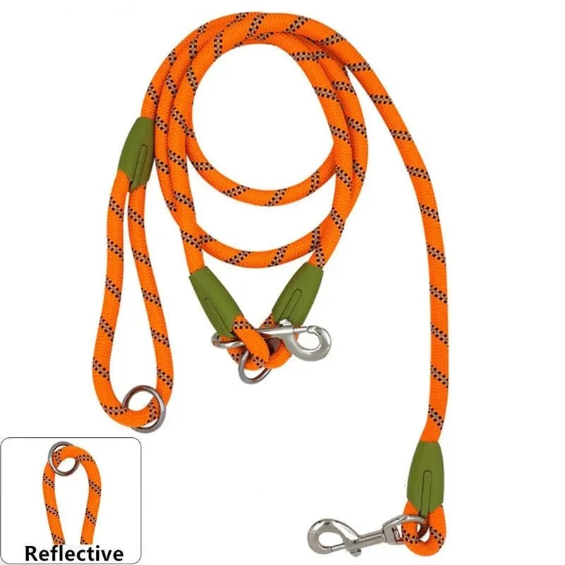 Laisse lasso chien ajustable