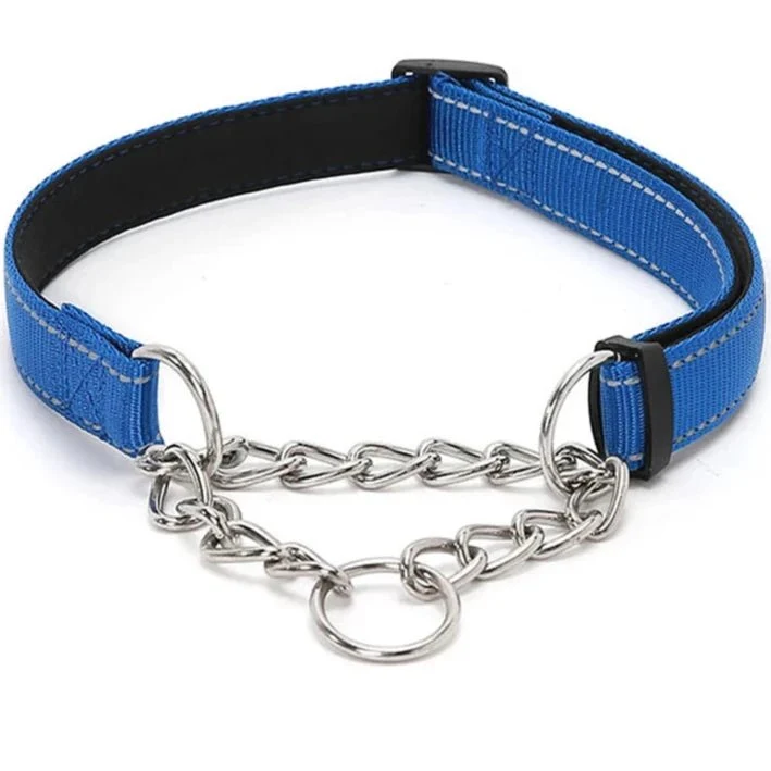 Collier étrangleur chien en nylon bleu