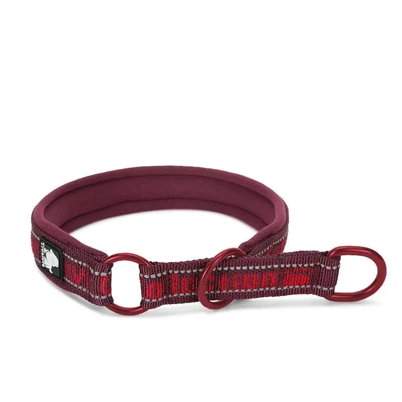 Collier étrangleur chien trulove rouge