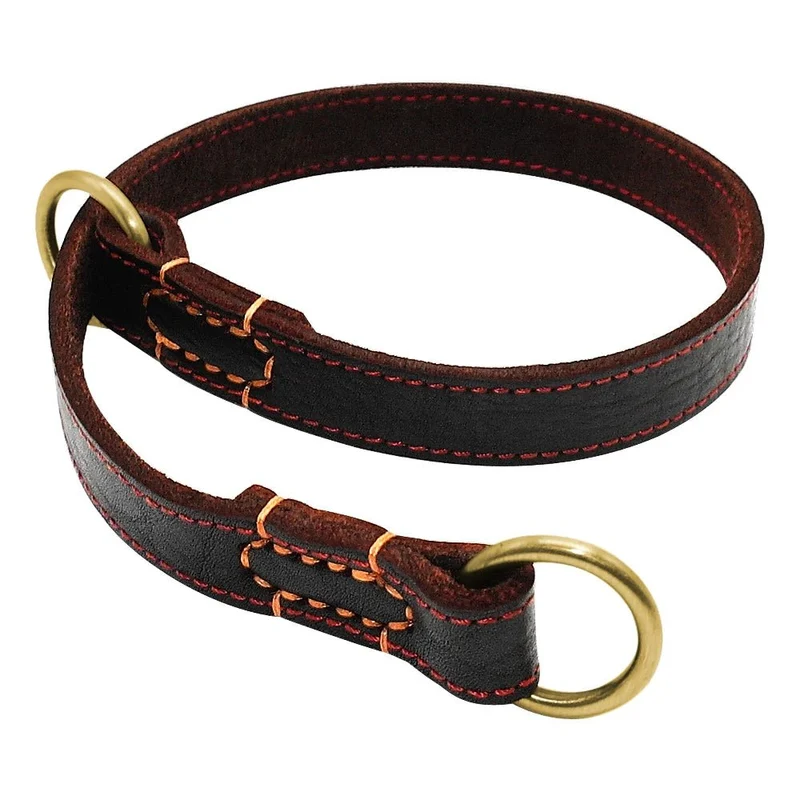 Collier étrangleur en cuir pour grand chien