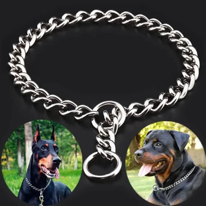 Collier étrangleur pour grand chien design