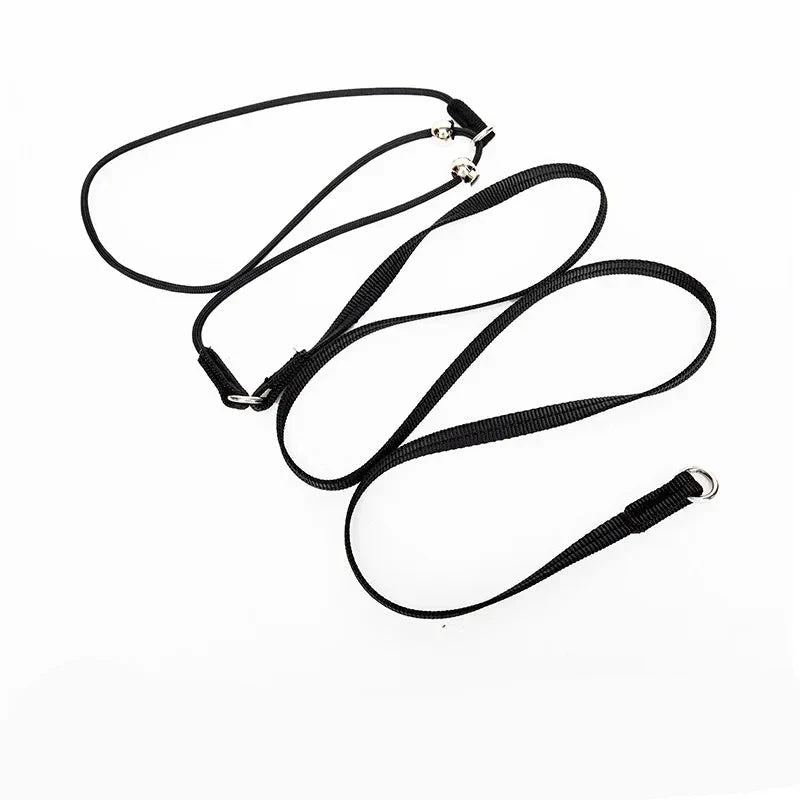 Collier étrangleur de dressage pour grand chien