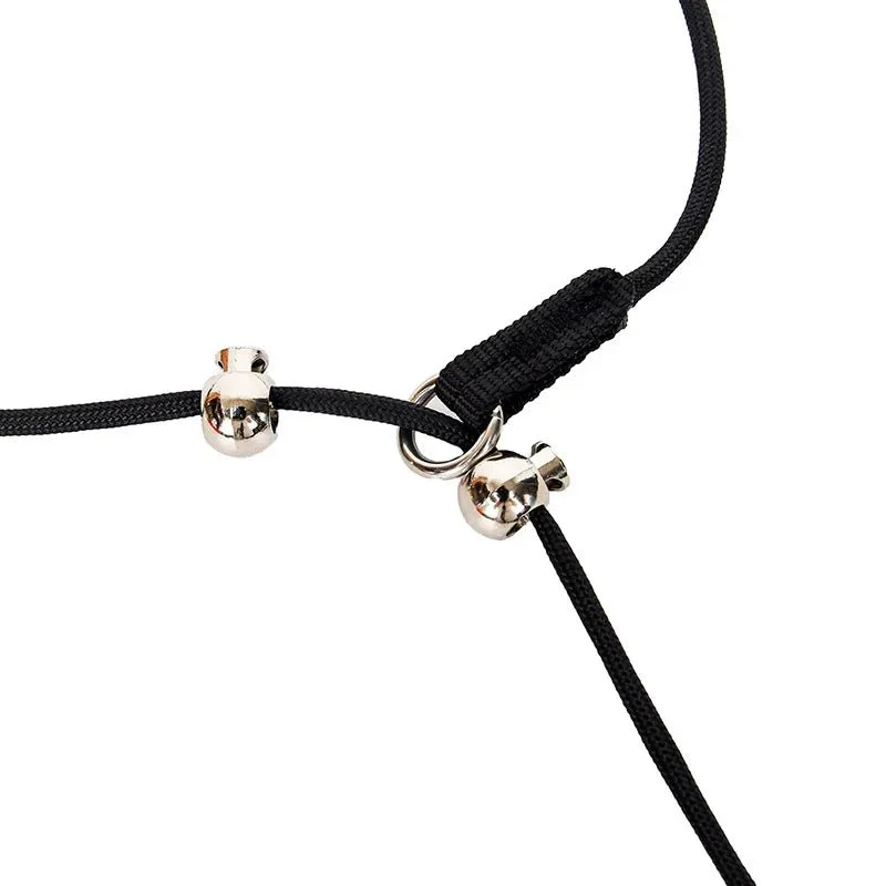 Collier étrangleur de dressage pour grand chien