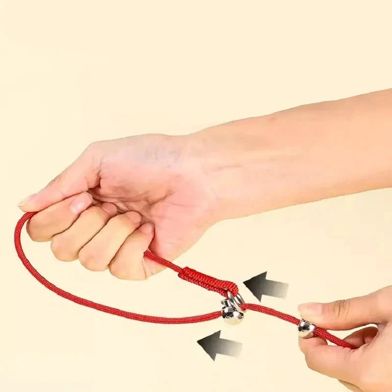 Collier étrangleur de dressage pour grand chien