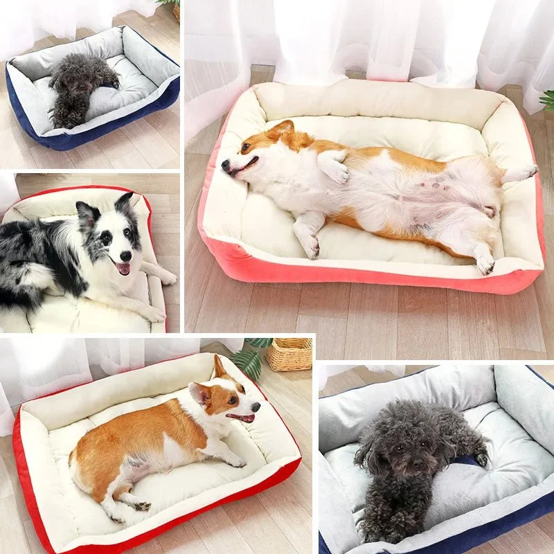 Panier chien xxl