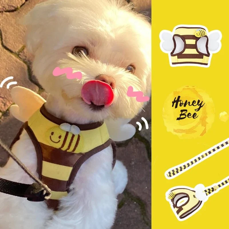 Harnais nid d'abeille pour petit chien