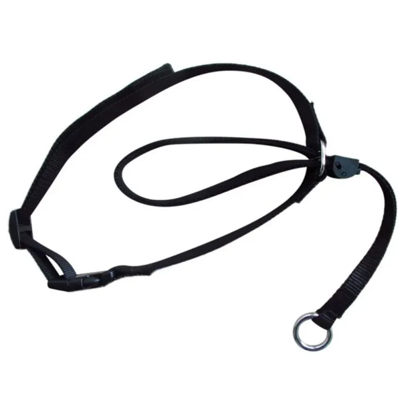 Licol pour grand chien