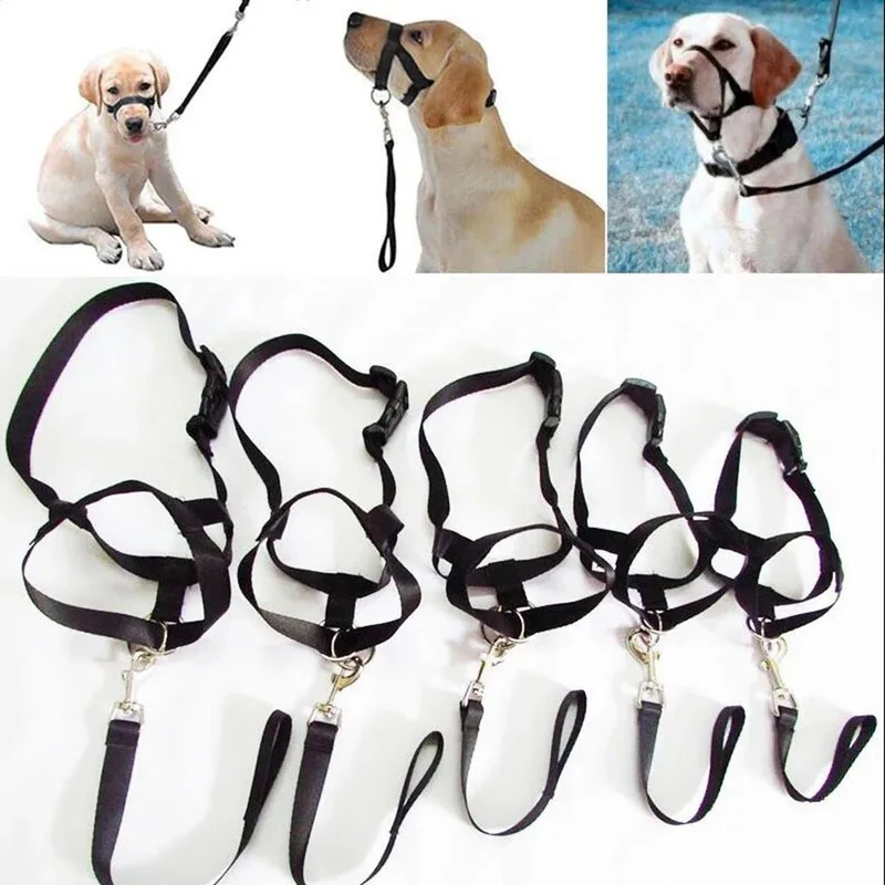 Licol ajustable pour chien