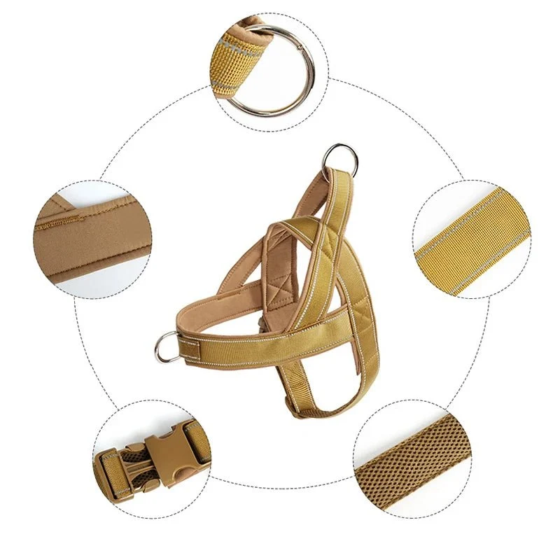 Harnais anti-traction pour gros chien en Y