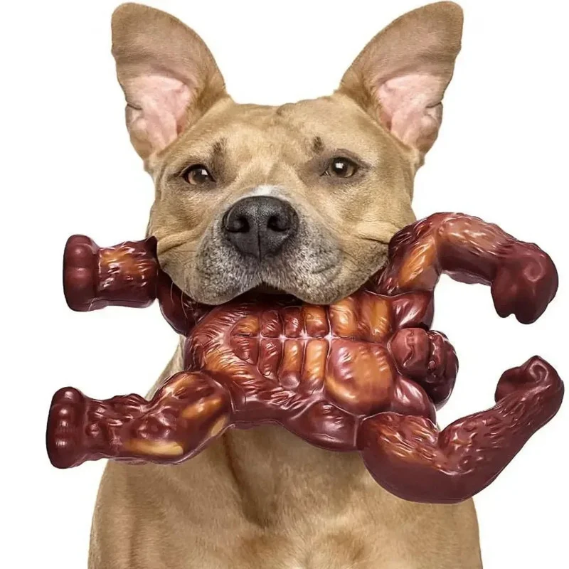 Gorille indestructible pour chien