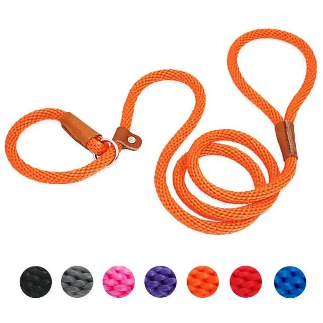 Laisse pour chien lasso