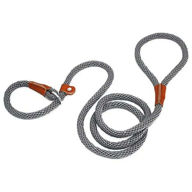 Laisse pour chien lasso