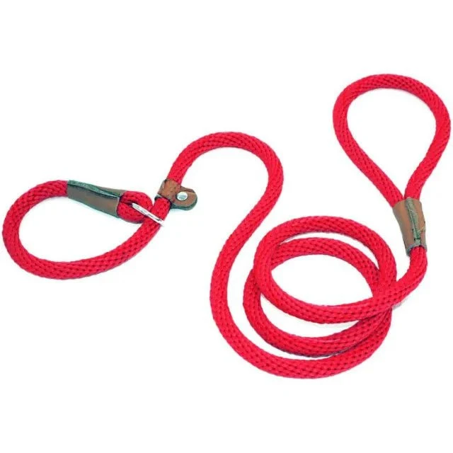 Laisse pour chien lasso