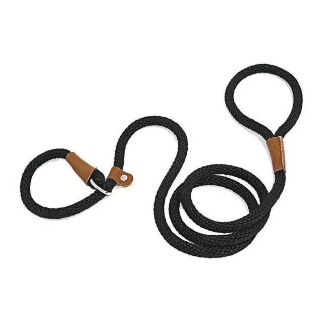 Laisse pour chien lasso