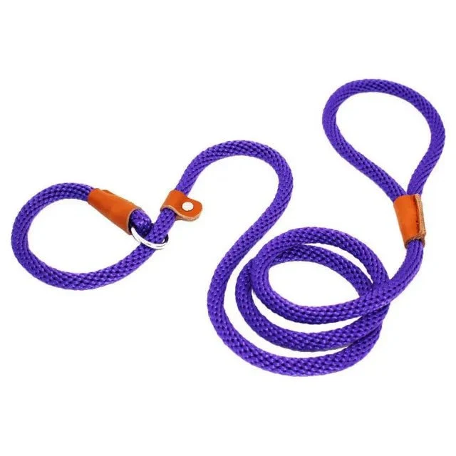 Laisse pour chien lasso