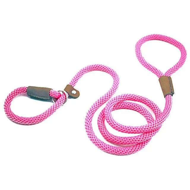 Laisse pour chien lasso